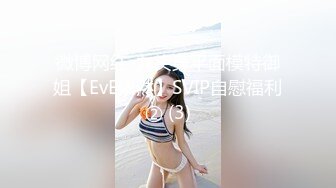 母亲的新男友1-李琼