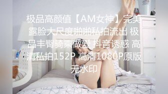 国产麻豆AV MD MD0020 直击搭讪素人拍A片 赵佳美