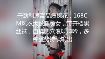 涩会传媒SH-012合租的陌生人-吴心语【MP4/331MB】