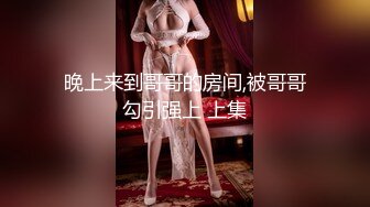 极品身材女快递员送快递被买家强上给了五星好评MD0065