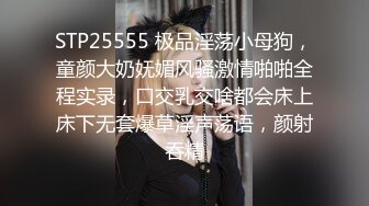 最新流出商场女厕偷拍 蹲着尿的长裙少妇