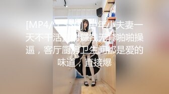 麻豆传媒 MD-0248《包养缺钱女同事》办公室内射女OL