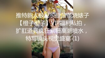 心爱的女神在别人眼里却是骚母狗！