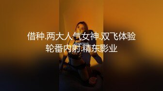 MSD-019_女神的秘密（下）角色扮演的桃色談判官网