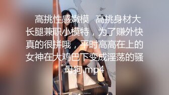 骚妻女仆装