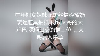 大奶熟系列-前入快速抽插