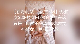 我的第二夫人，淫无比。