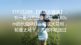 乌克兰美女Mila Azul的Onlyfans最新大合集，各种道具秀尺度更大，肛塞、假jb、电动玩具自慰【730V】 (2)