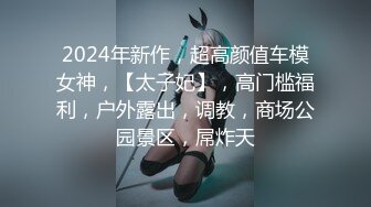 2024年新作，超高颜值车模女神，【太子妃】，高门槛福利，户外露出，调教，商场公园景区，屌炸天