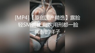 饱满巨乳-被情伤过的女人：公园勾搭大爷、帅哥，可惜胆子太小，少妇郁郁而疾。勾引对话激情！