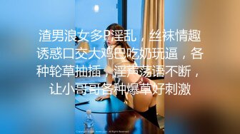 无水印[MP4/196M]1/22 伪娘小公主性感的身材漂亮的脸蛋撸着棒棒被小哥哥操射了VIP1196