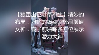 [无码破解]SPRD-1481 娘の旦那とダクあせ交尾 翔田千里