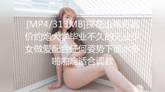 【麻豆传媒】msd-185 公厕强上肥臀欲女-米菲