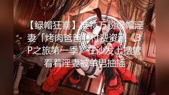 【绿帽狂喜】推特万粉绿帽淫妻「烤肉爸爸」付费资源《3P之旅第一季》在沙发上撸管看着淫妻被单男抽插