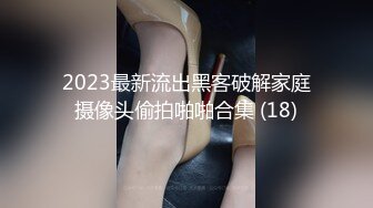 麻豆传媒 thy-0007 美乳黑网兔女郎的报复