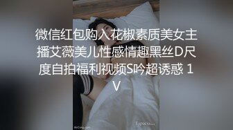 精品未流出红丝小母狗