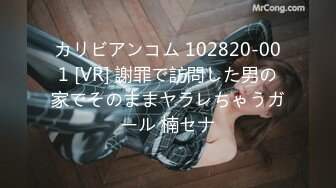 カリビアンコム 102820-001 [VR] 謝罪で訪問した男の家でそのままヤラレちゃうガール 楠セナ