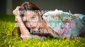 推特绿帽NTR夫妇刷锅第一人【娇妻日记】订阅私拍，户外露出、约单男、换妻4P、怎么刺激怎么玩 (4)