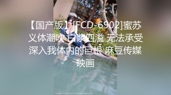 [MP4]国产AV剧情巨乳前女友分手找安慰前男友把屌送