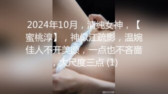 028骚妻，玩具一插到底，叫声可撸